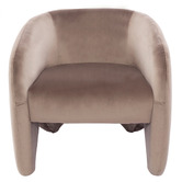 Rexington Home Nia Velvet Armchair