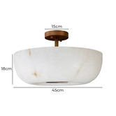 Rexington Home Willis Resin Semi Flush Mount Ceiling Light