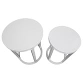 Rexington Home 2 Piece Amir Birch Wood Nesting Side Table Set