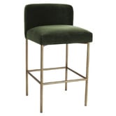 Rexington Home 66cm Duxbury Velvet Counter Stool