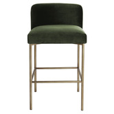 Rexington Home 66cm Duxbury Velvet Counter Stool