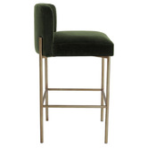 Rexington Home 66cm Duxbury Velvet Counter Stool