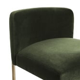 Rexington Home 66cm Duxbury Velvet Counter Stool