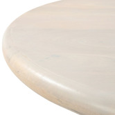Rexington Home Harris Mango Wood Coffee Table