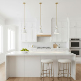Rexington Home Capita Iron Pendant Light