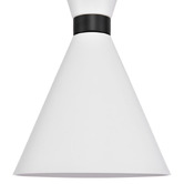 Rexington Home Capita Iron Pendant Light