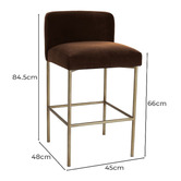 Rexington Home 66cm Duxbury Velvet Counter Stool