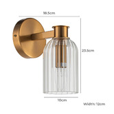 Rexington Home Cosmera Fluted Glass Wall Light
