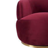 Rexington Home Penelope Velvet Armchair