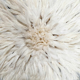 Tribal Expressions White Feather Wall Accent