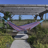Vivere Hammocks Latin Double Cotton Hammock