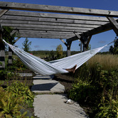 Vivere Hammocks Latin Double Cotton Hammock