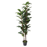 Madras Link 169cm Potted Faux Rubber Tree
