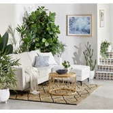 Estudio Furniture 2 Piece Loop Round Rattan Coffee Table Set