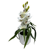 Home Accents 47cm Mia Potted Faux Magnolia Plant