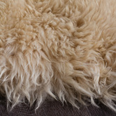 Network Rugs Champagne Sheepskin Rug