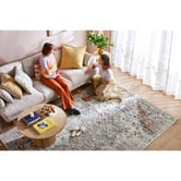 Network Rugs Silver Transitional Vintage-Style Distressed Rug