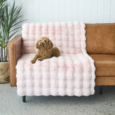 Network Rugs Blush Bubble Machine Washable Power-Loomed Rug