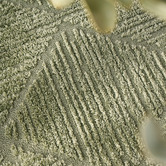 Network Rugs Pistachio Gatten Contemporary Rug