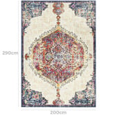 Network Rugs Safina Vintage-Style Oriental Rug