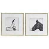Elegant Designs Horse Framed Printed Wall Art Diptych