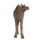 Elegant Designs Camel Polyresin Statue