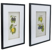 Elegant Designs 2 Piece Botanical Framed Paper Print Wall Art Set