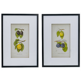 Elegant Designs 2 Piece Botanical Framed Paper Print Wall Art Set