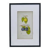 Elegant Designs 2 Piece Botanical Framed Paper Print Wall Art Set