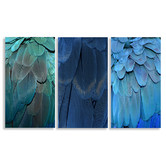 A La Mode Studio Feathers 3 Piece Canvas Print