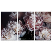 A La Mode Studio Peonies 3 Piece Canvas Print