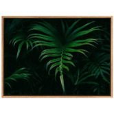 A La Mode Studio Hiding in the Shadows Plant Canvas Wall Art