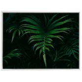 A La Mode Studio Hiding in the Shadows Plant Canvas Wall Art