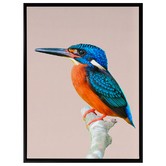 A La Mode Studio Prettier Than You Bird Canvas Wall Art