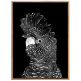 A La Mode Studio The Masked Ball II Black Cockatoo Canvas Wall Art