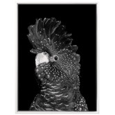 A La Mode Studio The Masked Ball II Black Cockatoo Canvas Wall Art