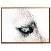 A La Mode Studio In the Blink of a Horse Eye Canvas Wall Art
