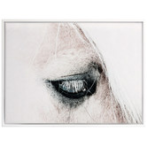 A La Mode Studio In the Blink of a Horse Eye Canvas Wall Art