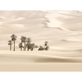 A La Mode Studio Sweet Mirage Desert Palms Canvas Wall Art