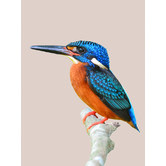 A La Mode Studio Prettier Than You Bird Canvas Wall Art