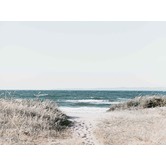 A La Mode Studio Footprints Canvas Wall Art