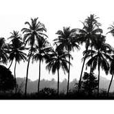 A La Mode Studio Palm Silhouette Canvas Wall Art
