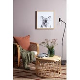 A La Mode Studio Oh Hi Koala Photographic Art Print