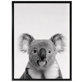 A La Mode Studio Oh Hi Koala Photographic Art Print