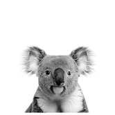 A La Mode Studio Oh Hi Koala Photographic Art Print