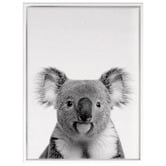 A La Mode Studio Oh Hi Koala Photographic Art Print