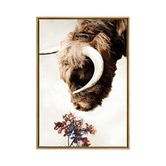 A La Mode Studio Highlander I Framed Canvas Wall Art