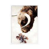 A La Mode Studio Highlander I Framed Canvas Wall Art