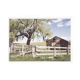 A La Mode Studio Backcountry Framed Canvas Wall Art