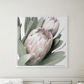 A La Mode Studio Protea II Framed Canvas Wall Art